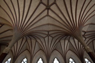 Grand Master's Palace, Great Remter, vaults