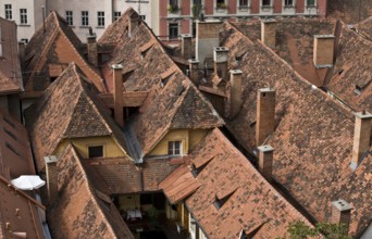 Sackstrasse, roofscape