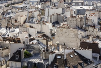 Paris, view from the tower of Notre-Dame Cathedral over the rooftops to the north