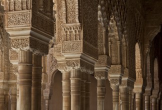 Nasrid Palace, Court of Lions, capitals and stuccoed pillars and arcades