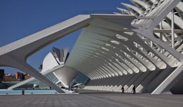 City of Arts and Sciences (cat./val. Ciutat de les Arts i de les Ciències), MUSEO DE LAS CIENCIAS,