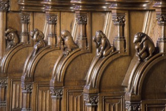 Choir stalls, drolleries on the stall sides with proverbial depictions, 1493 by Johannes Gruter