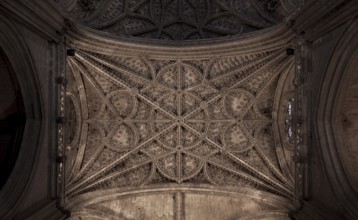 Seville, Cathedral, vault, detail, St., Saint, Saint