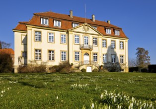 Freckenhorst Castle with snowdrops (Galanthus), Warendorf, Münsterland, North Rhine-Westphalia,