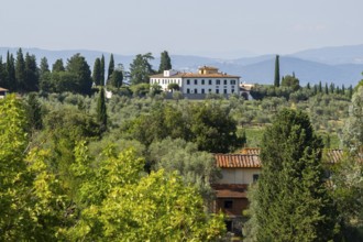 Tuscan landscape, Farm house, country estate with vineyards, forests, olive trees and cypresses in