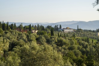 Tuscan landscape, country estate with a farm house, olive trees and forests in Chianti, Chianti