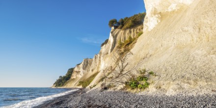 Pebble beach with flints on the chalk cliffs of Møns Klint on the Baltic Sea, Møn Island, Denmark,