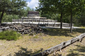 Deadwood park in the disused part of the Caminau kaolin mine, Königswartha, Saxony, Germany, Europe