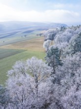 Aerial view of a vast winter landscape with snow-covered trees and fields, Gechingen, district of