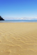 Bark Bay, Abel Tasman National Park, Nelson Region, South Island, New Zealand, Oceania