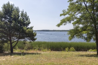 View of Lake Dreiweibern from the northern beach, Lohsa, Lusatian Lakeland, Saxony, Germany, Europe