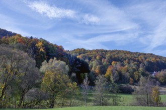 Autumn forest in Franconian Switzerland, Bavaria, Germany, Europe