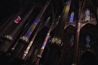 Play of colours, play of light, colourful church windows, interior view, La Seu, Basilica de Santa