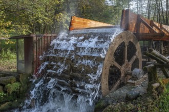 Old waterwheel on the Trubach, Egloffstein, Upper Franconia, Bavaria, Germany, Europe