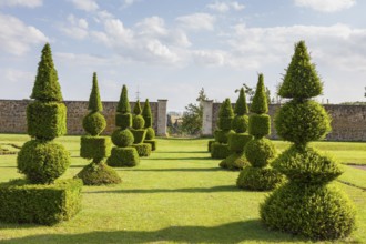 Boxwood cut into shapes in the baroque garden of Hundisburg Castle, Haldensleben, Saxony-Anhalt,