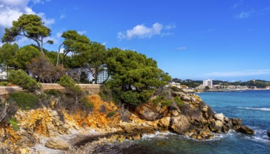 Landscape and coastal area in the north of Majorca, Cala Rajada, Balearic Islands, . Spain