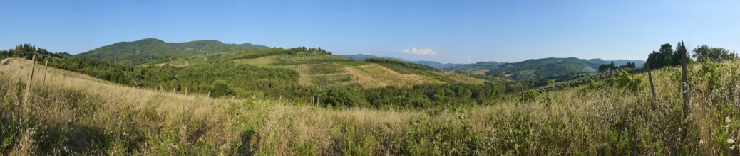 Tuscan landscape, country estate with vineyards, forests, olive trees and cypresses in Chianti,