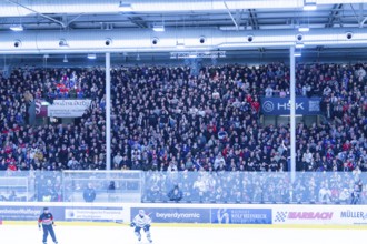 Full stands with fans at an ice hockey game in a large stadium, Heilbronner Falken Vs Bietigheimer