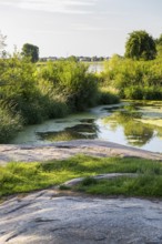 Remains of the old Nixstein in the dead Elbe arm near Strehla, Saxony, Germany, Europe