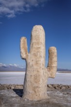 Cactus sculpture made of salt, Salinas Grandes, Salta Province, Argentina, South America