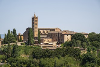 Basilica di San Clemente, historical, building, alley, Siena, Tuscany, Italy, Europe