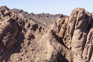 La Ciénaga Natural Area, San Juan Province, Argentina, South America