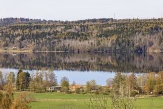 View of a forest lake with water reflections and cottages on the shore at the sunny springtime,