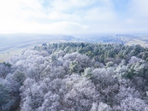 Panoramic view of hilly landscape and winter forest, clear sky in the background, Gechingen,