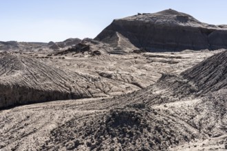 Ischigualasto Provincial Park, Villa San Agustín, San Juan Province, Argentina, South America