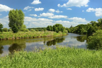 Landscape along the river Saale in the Saale valley near Naumburg in spring, in the background the