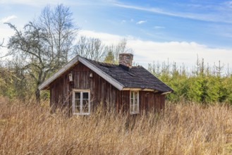 Abandoned old red wooden cottage with an overgrown garden at the edge of the forest a sunny spring