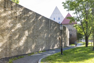 Old town wall, yellow lion tower and granary, Freiberg, Saxony, Germany, Europe