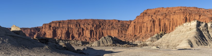 Ischigualasto Provincial Park, Villa San Agustín, San Juan Province, Argentina, South America