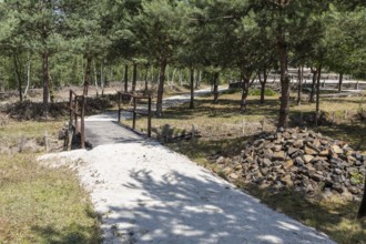 Deadwood park in the disused part of the Caminau kaolin mine, Königswartha, Saxony, Germany, Europe