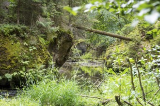 Kirnitzsch in the Kirnitzsch Valley, Sebnitz, Saxon Switzerland, Saxony, Germany, Europe