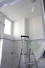 Renovation of a bathroom, Germany, Europe