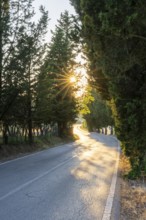 View of a strees in the tuscan landscape, country estate in Chianti at sunset, Chianti Region,