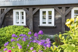 Flowers in front of a half-timbered house, Rammenau, Saxony, Germany, Europe