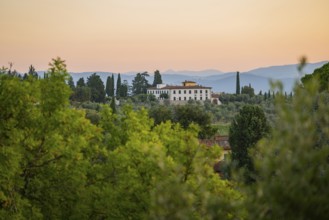 Tuscan landscape at sunrise, country estate with a farm house, vineyards, forests, olive trees and