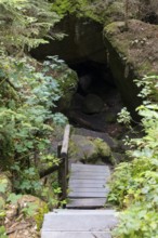 Hiking trail in the Kirnitzschklamm gorge, Sebnitz, Saxon Switzerland, Saxony, Germany, Europe