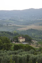 Tuscan landscape at sunrise, country estate with a farm house, vineyards, forests, olive trees and