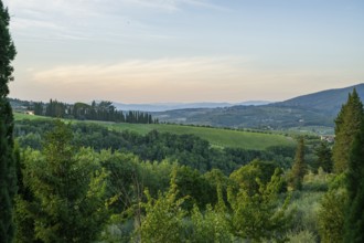 Tuscan landscape next to greve in Chianti and Montefioralle, country estate with vineyards,