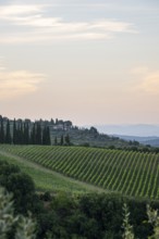 Tuscan landscape next to greve in Chianti and Montefioralle, country estate with vineyards,