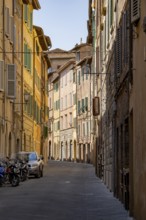 View of a small street going through old buildings in the city of Siena, Tuscany, Italy, Europe