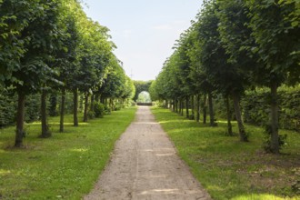 Shady path in Hundisburg Castle Park, Haldensleben, Saxony-Anhalt, Germany, Europe