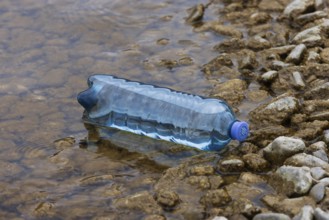 Environmental pollution, Plastic bottle washed up on the lake shore, Austria, Europe