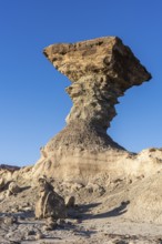 Ischigualasto Provincial Park, Villa San Agustín, San Juan Province, Argentina, South America