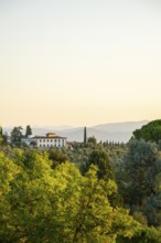 Tuscan landscape at sunrise, country estate with a farm house, vineyards, forests, olive trees and