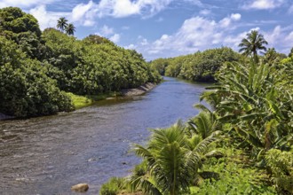 Fautaua River, near Taurita, Tahiti-Iti, Tahiti, Society Islands, Leeward Islands, French