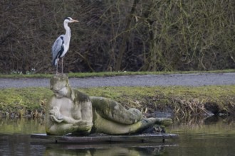 A grey heron (Ardea cinerea) stands on a statue in the water, Reclining Eve, sculpture by Roman